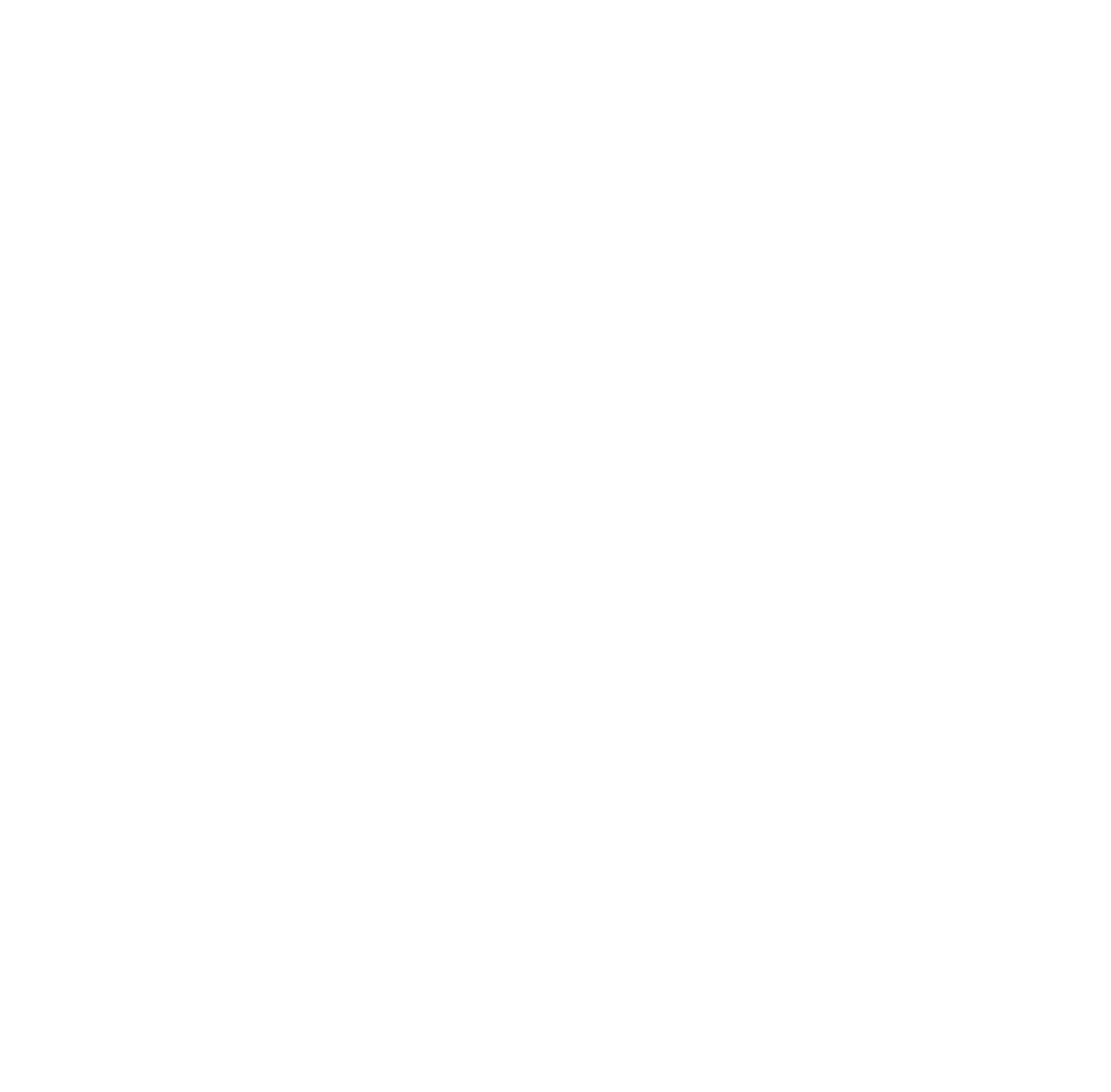 20 years in business